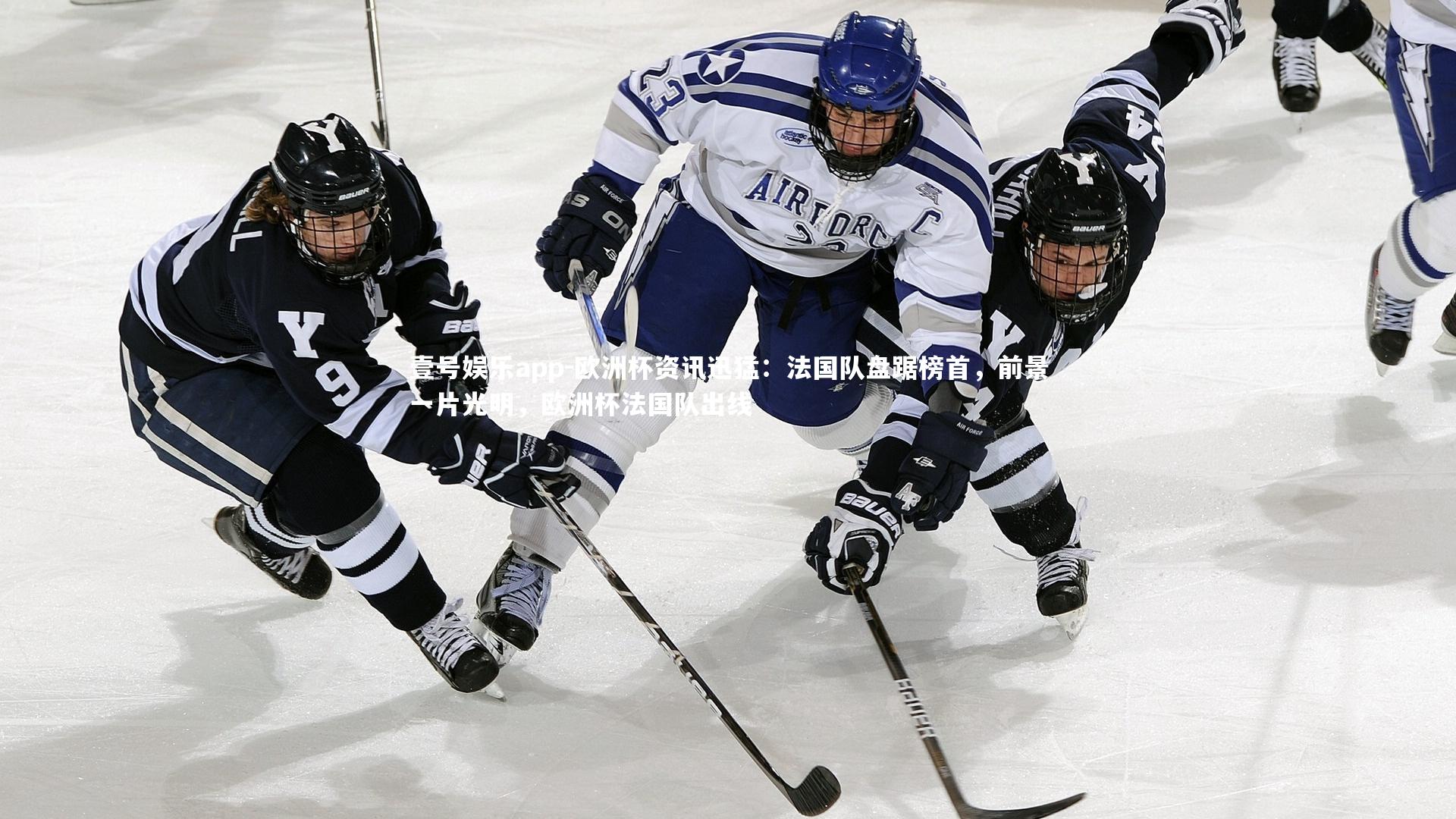 欧洲杯资讯迅猛：法国队盘踞榜首，前景一片光明，欧洲杯法国队出线