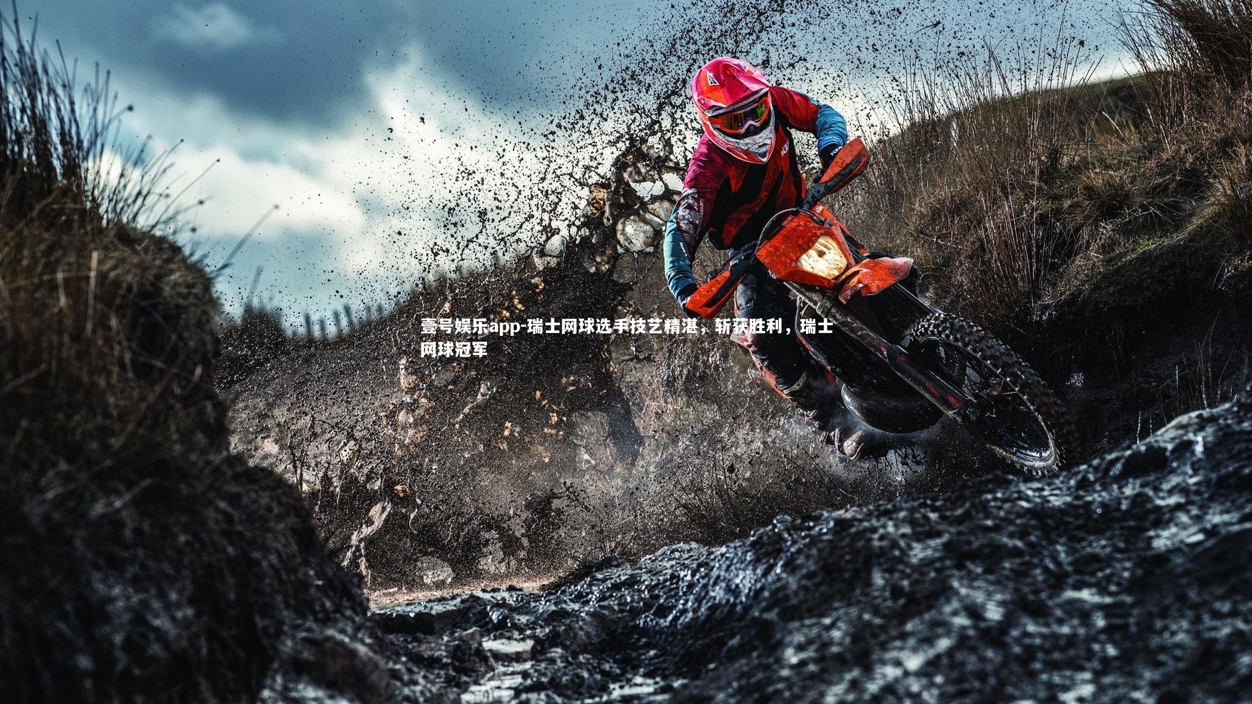 瑞士网球选手技艺精湛，斩获胜利，瑞士网球冠军