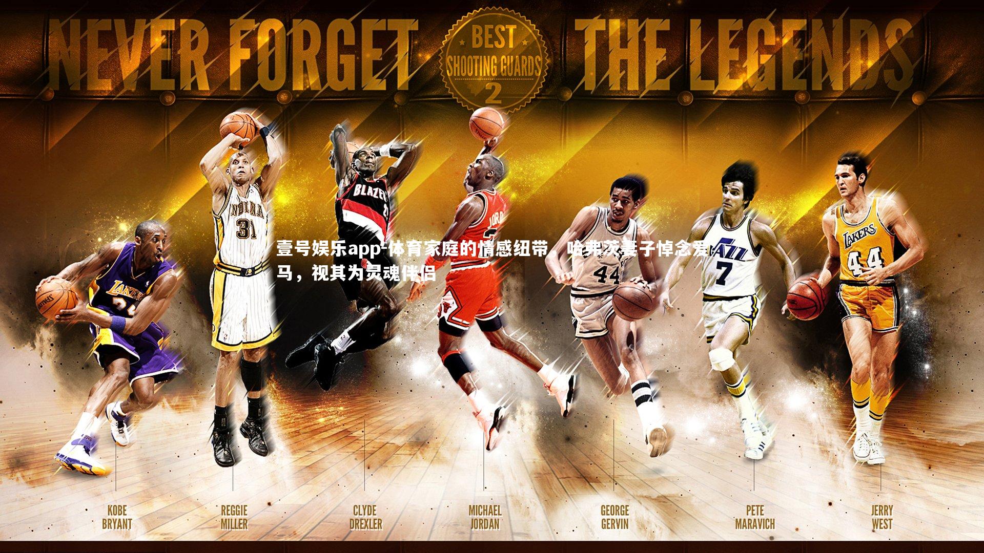 体育家庭的情感纽带，哈弗茨妻子悼念爱马，视其为灵魂伴侣