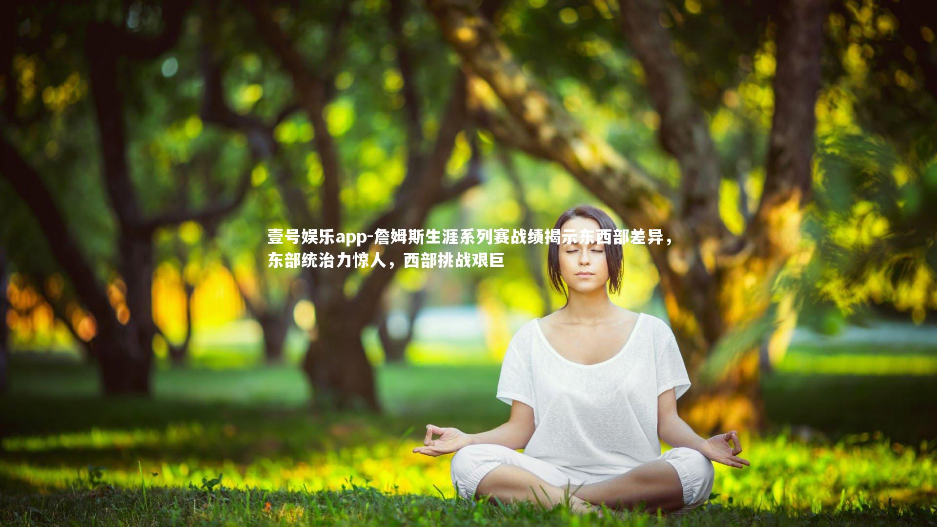 詹姆斯生涯系列赛战绩揭示东西部差异,东部统治力惊人,西部挑战艰巨